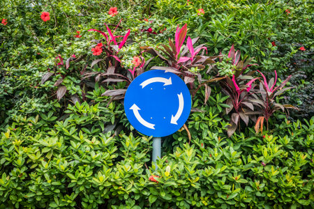 Roundabout road sign in shrub plant. It is in mandatory signs group.の写真素材