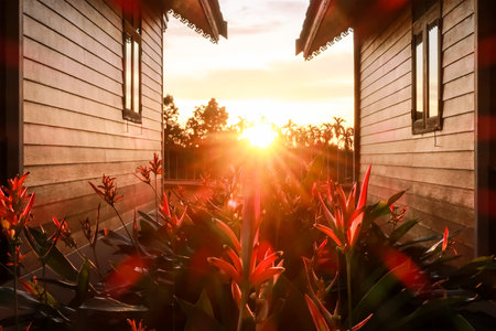 Beautiful sunset behind flower garden and between traditional houses. The flowering plant is Heliconia psittacorum in the family Heliconiaceae.の写真素材