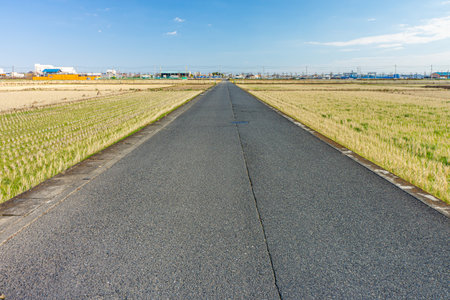 Asphalt road in middle of paddy field. The road is in countryside of Japan, Asia.の写真素材