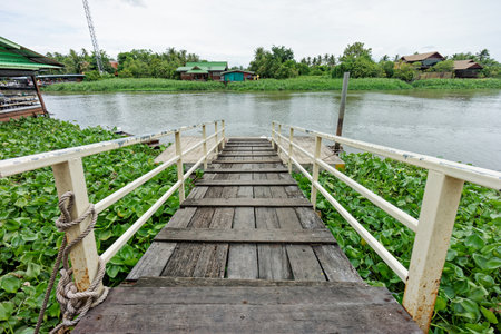 Rustic Wooden Pier Overlooking Riverside Scene with Water Hyacinths. It has white railings stretches over water and leading down to a peaceful riverside view.の写真素材