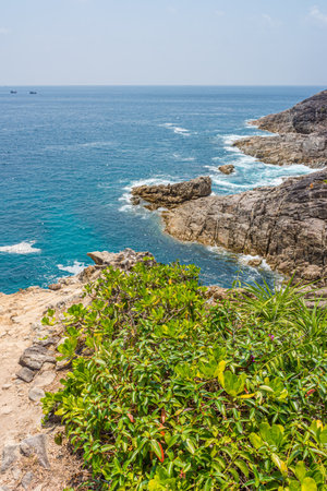 Dyckia tobatiensis and Barringtonia asiatica plant on top of rugged shoreline at Tachai island. Seascape view in Andaman sea, Phang Nga, Thailand, Southeast Asia.の写真素材