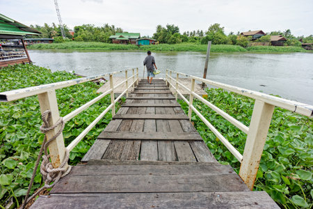 Scene of Rustic Wooden Pier Overlooking Riverside with Water Hyacinths and someone walking on it. It has white railings stretches over water and leading down to a peaceful riverside view.の写真素材