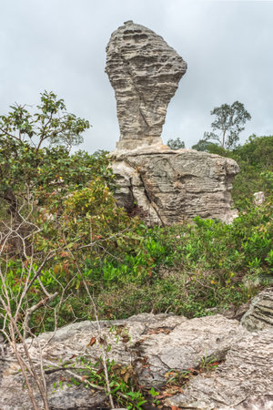 Unique natural rock formation resembling a trophy, located in Pa Hin Ngam National Park,Thep Sathit,Chaiyaphum,Thailandの写真素材