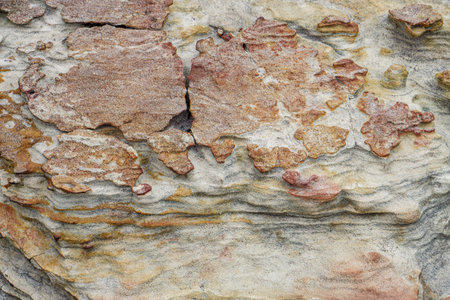 Eroded Stone Surface with Layered Texture in Natural Earth Tones. Close-up of weathered stone surface showing layered textures and natural earthy colors ideal for backgrounds or design use.の写真素材