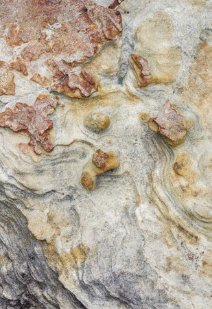 Weathered Rock Surface with Swirling Natural Patterns and Embedded Formations. A stone surface showing weathered layers, swirling patterns, and embedded rock formations in natural earth tones.の写真素材