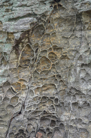 Honeycomb Weathered Rock Surface with Natural Textures and Erosion Patterns. Close-up of a rock face showing honeycomb weathering, natural cavities, and textured erosion patterns in earthy tones.の写真素材