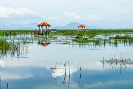 Red Octagonal Roofed Pavilion Reflected in Serene Bueng Bua Wetland. Two pavilions stand over a wetland, their reflections mirrored in the calm water.の写真素材