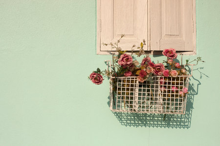 Light green wall and flowers Basket with custom text spaceの写真素材