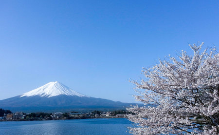 Fuji mountain japanの素材