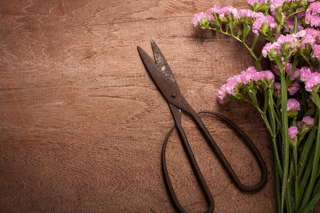 Old Vintage steel scissors on wooden table  with flower and copy space.の写真素材