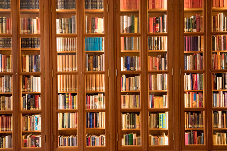 Amsterdam, Netherlands -september 15, 2017: Wooden bookcase with a lot of booksのeditorial素材