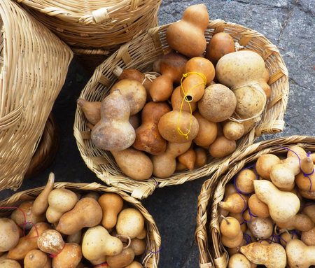 Baskets of guajes in a market in Mexicoの写真素材