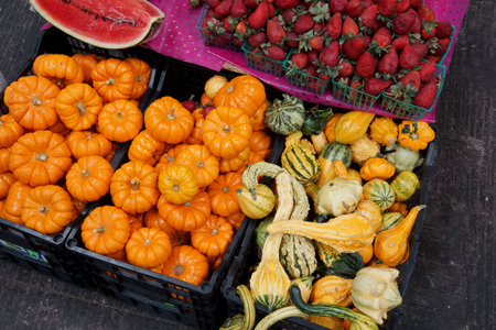 Crates of ornamental pumpkins for the Day of the Dead festival in Mexicoの写真素材