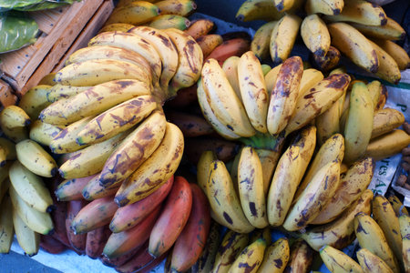 Different kinds of bananas in a market in Mexicoの写真素材