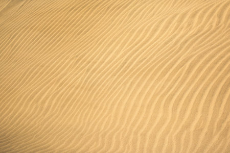 Picture of sand dune texture looking like waves. High quality photoの写真素材