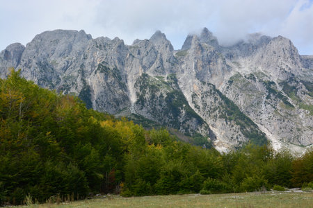 Bald mountain range over valley floor and pasture