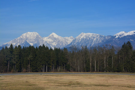 snowy mountain range over forest and fieldの写真素材