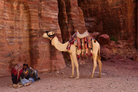 Bedouin chatの写真素材