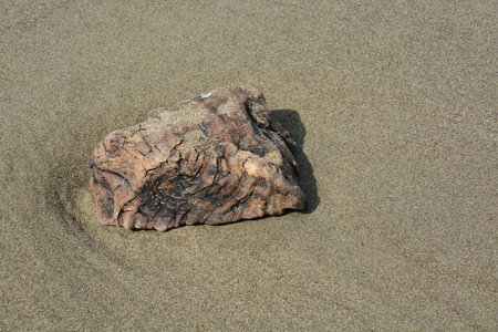Wooden Bermassiv in the sandの写真素材
