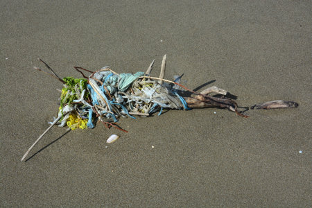 Waste wraps around branch on the beachの写真素材
