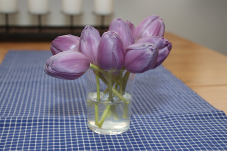 Tulips in a glassの写真素材