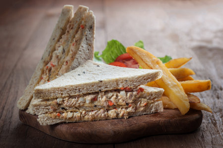 Tuna Sandwichの写真素材