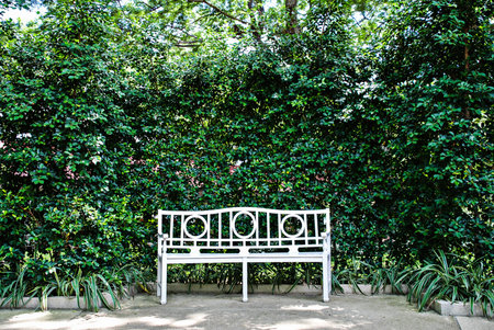 white bench in the gardenの写真素材