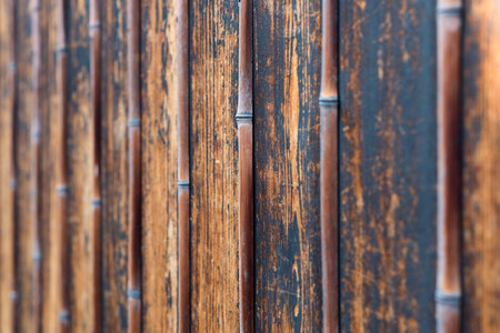 bamboo wall, Japanese Styleの写真素材