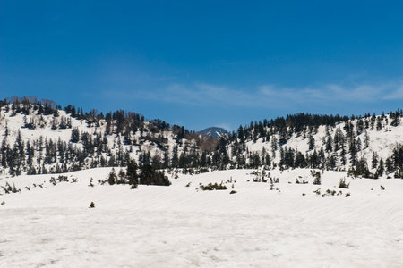 panorama view of Tateyama Kurobe Alpine Route, Japan destination travelの写真素材