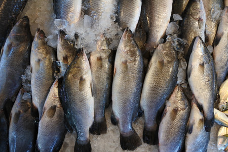 Fresh fish texture