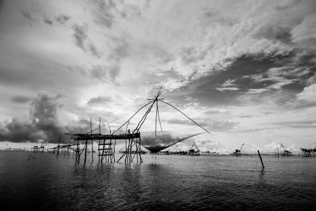 traditional local fisherman used net fishing in Pakpra Thale Noi, one of the country's largest wetlands covering Phatthalung, Nakhon Si Thammarat and Songkhla ,South of THAILAND.の写真素材