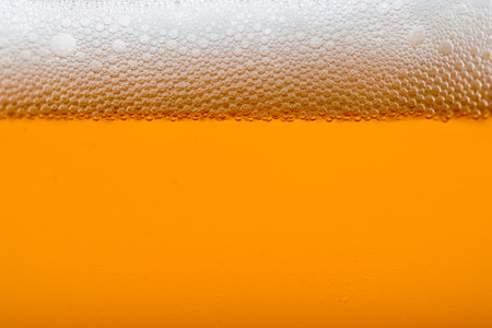 craft beer bubbles in glassの写真素材