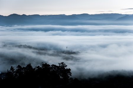 Fog above the forest, Minimalist Landscape photography