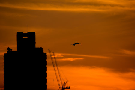 Silhouette of Bangkok city view with beautiful sunrise backgroundの写真素材