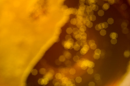 Craft Beer bubbles background texture