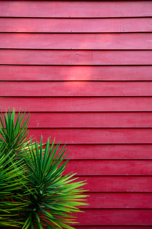 green leaf with  Red wooden wall background wallpaper