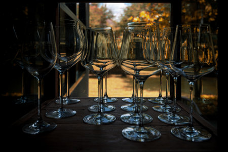 Group of empty Wine glasses; Matching wine glasses for Bordeaux wines: serve the perfect drink with our specialised glassware for the Bordeaux region.の写真素材