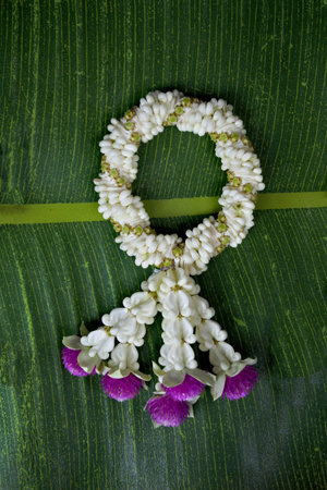 A fresh jasmine flower garland on a banana leaf background. Symbolizing purity and love, it exudes beauty and tranquilityの写真素材