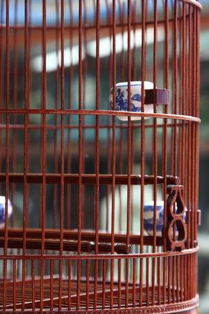 birdcageの写真素材