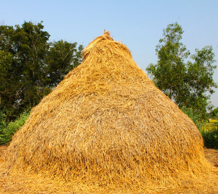 detailed view of stack の写真素材