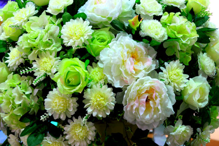 colorful flower の写真素材