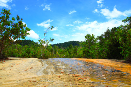 Small Water fall in forest