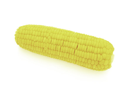 corn isolated on a white backgroundの写真素材