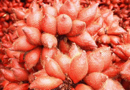 Zalacca, tropical sweet fruit の写真素材