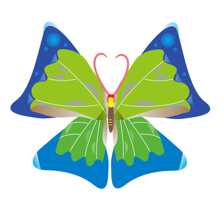 colorful butterfly のイラスト素材