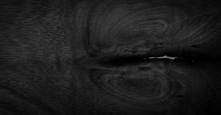 Close angle of wood grain. Beautiful natural dark black abstract background. Blank for design and want black wood grain backdrop.の写真素材