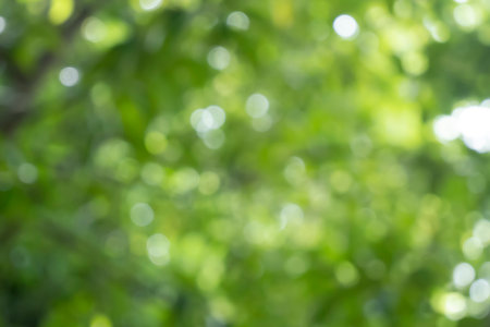 abstract bokeh natural green and blue background Beautifully blurred in the summerの写真素材