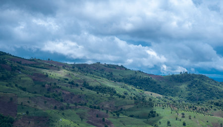 cloud covered the mountain peak in the north of Thailand.の写真素材