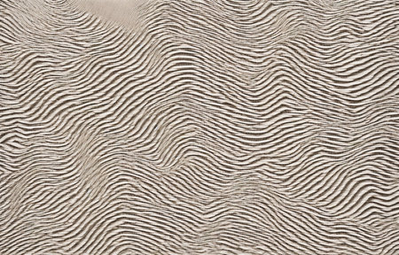 Close-up of sand pattern. Abstract background and texture for design.の素材