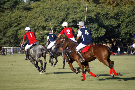 four polo players in action during a matchの写真素材